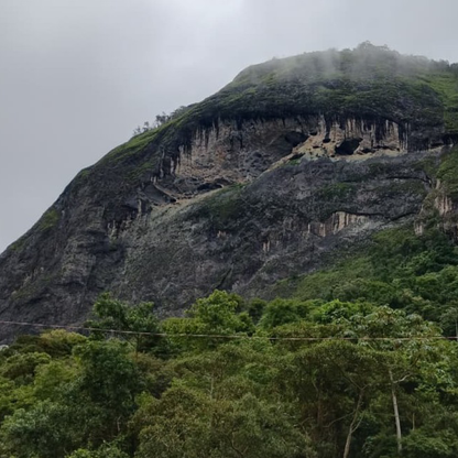 Brazil Pedra Redonda Natural Microlot