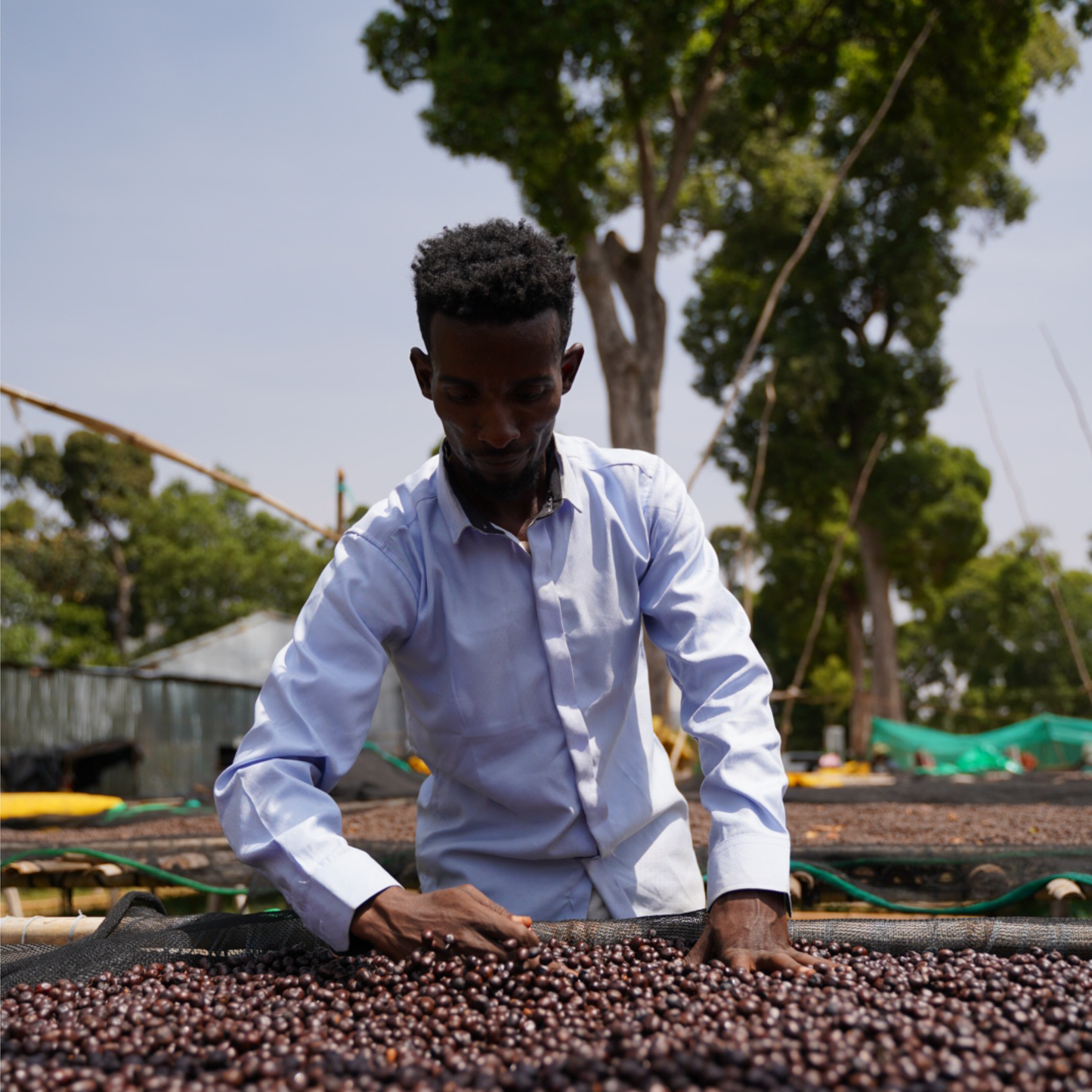 Ethiopia Gatta Anaerobic Microlot