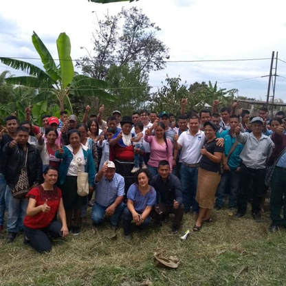 Colombia Finca Potrerito Washed Microlot