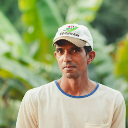 Brazil Pedra Redonda Natural Microlot