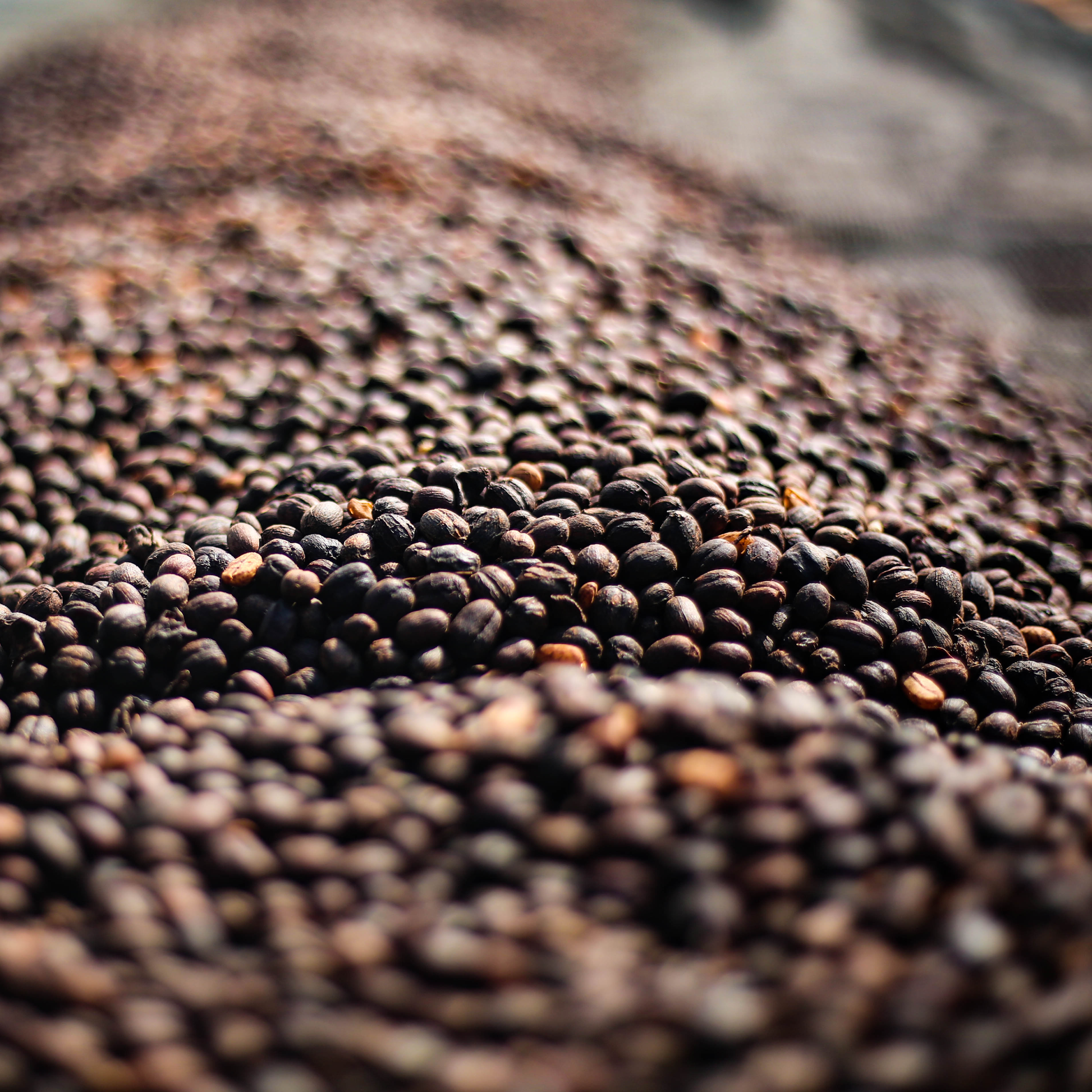 Ethiopia Mirado Natural Single Origin - Bailies Coffee Roasters