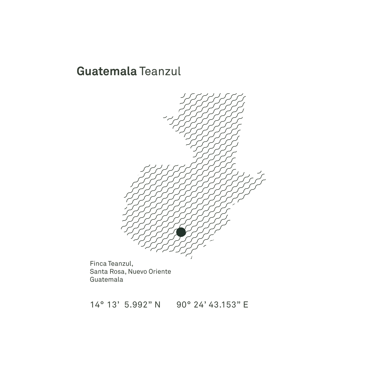 Guatemala Teanzul Washed Microlot