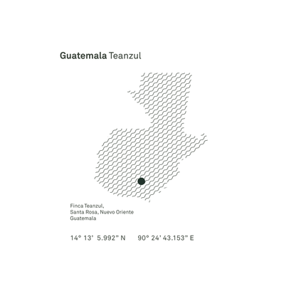 Guatemala Teanzul Washed Microlot