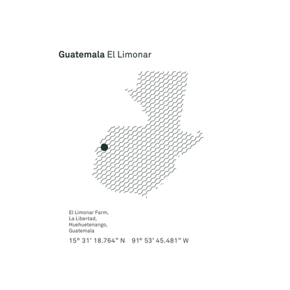 Guatemala El Limonar Natural Microlot