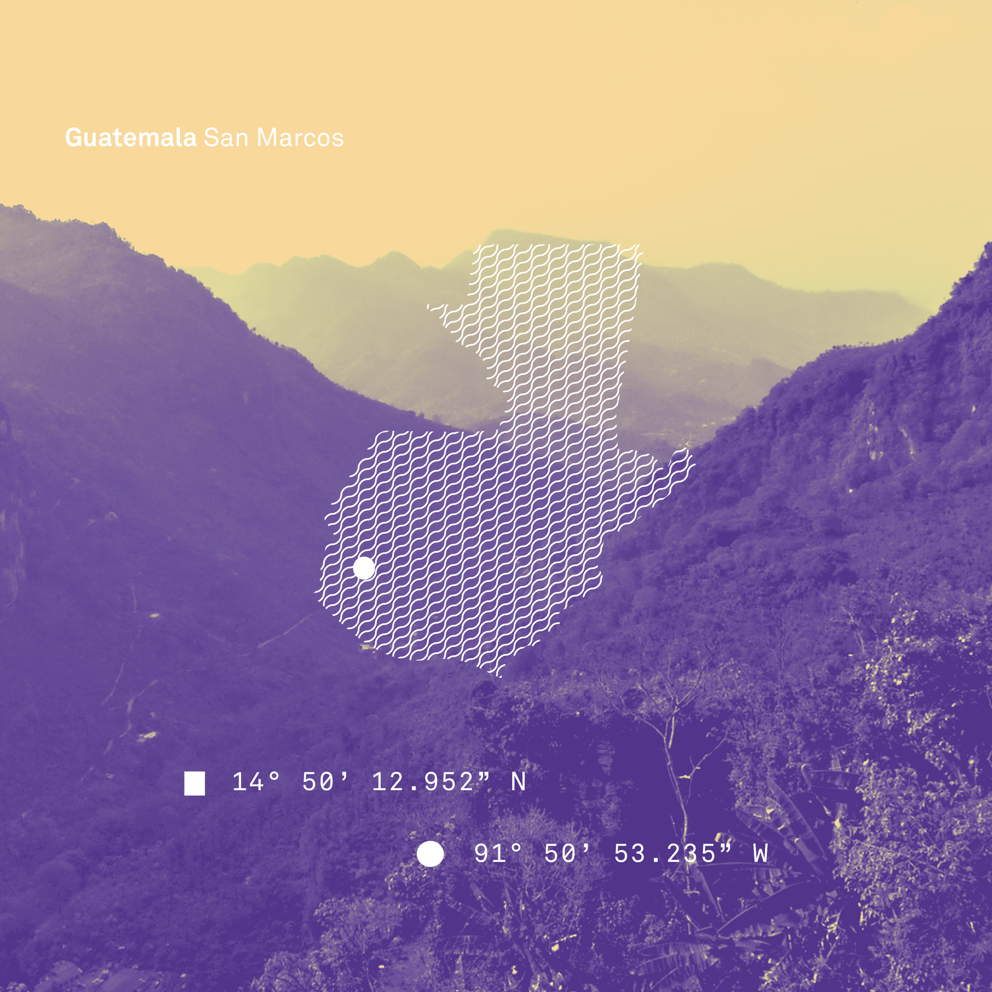 Guatemala San Marcos Washed Microlot - Bailies Coffee Roasters