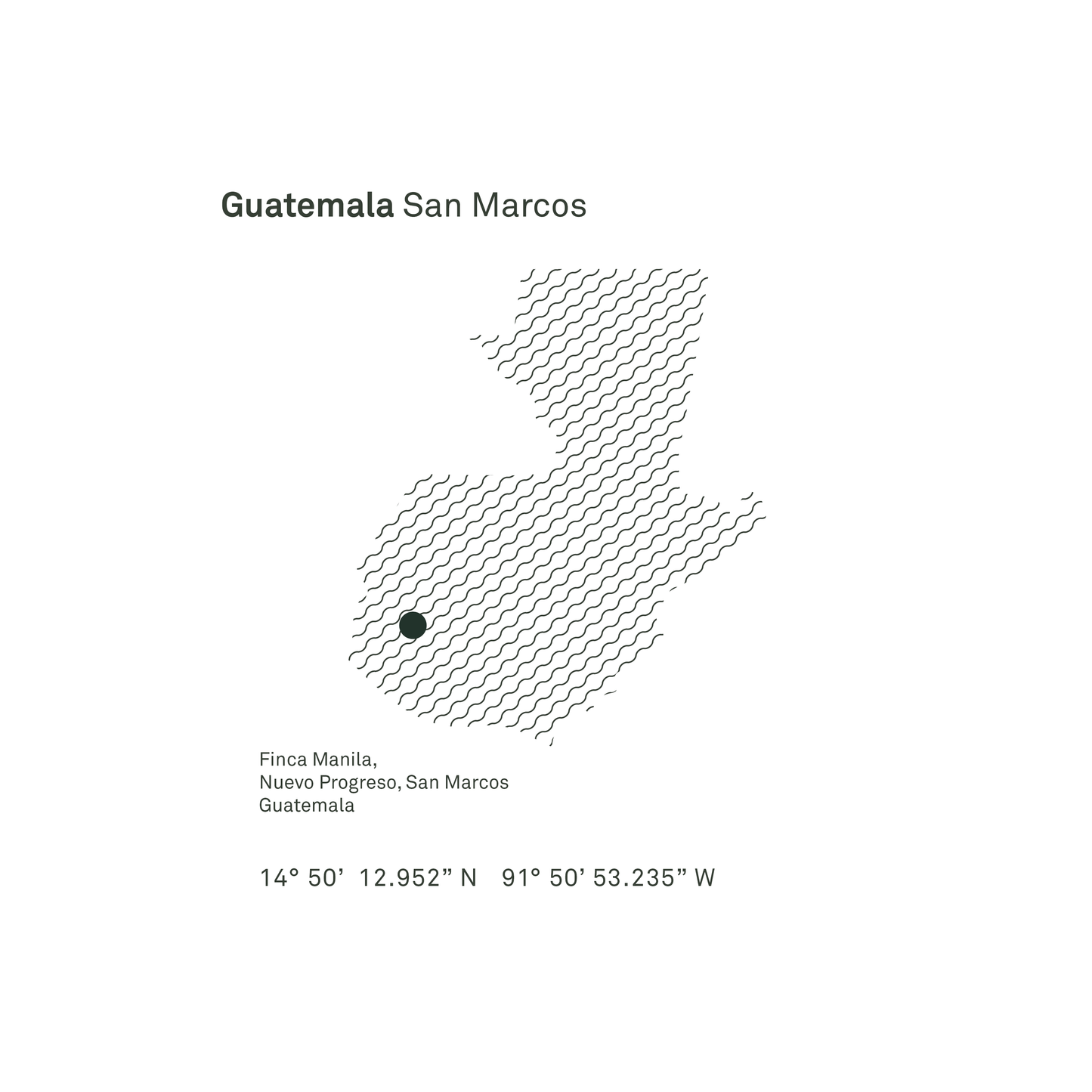 Guatemala San Marcos Washed Microlot