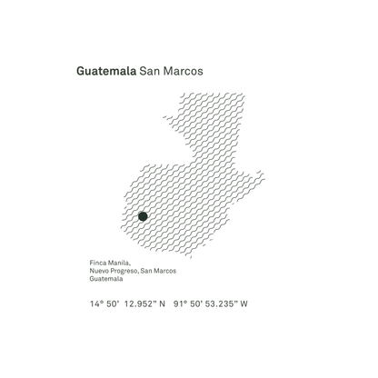 Guatemala San Marcos Washed Microlot