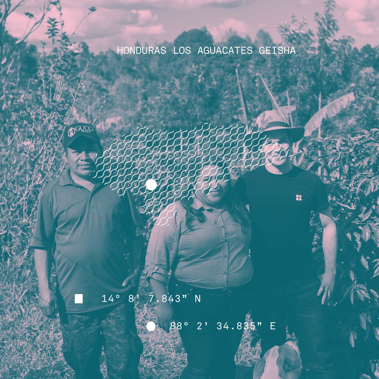 Honduras Los Aguacates Geisha Microlot