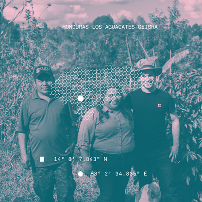 Honduras Los Aguacates Geisha Microlot