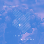 Kenya Mchana Natural - Bailies Coffee Roasters