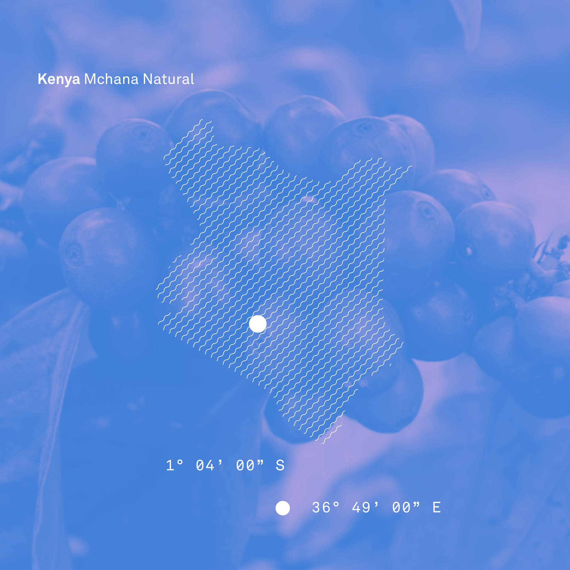 Kenya Mchana Natural - Bailies Coffee Roasters