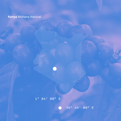 Kenya Mchana Natural - Bailies Coffee Roasters