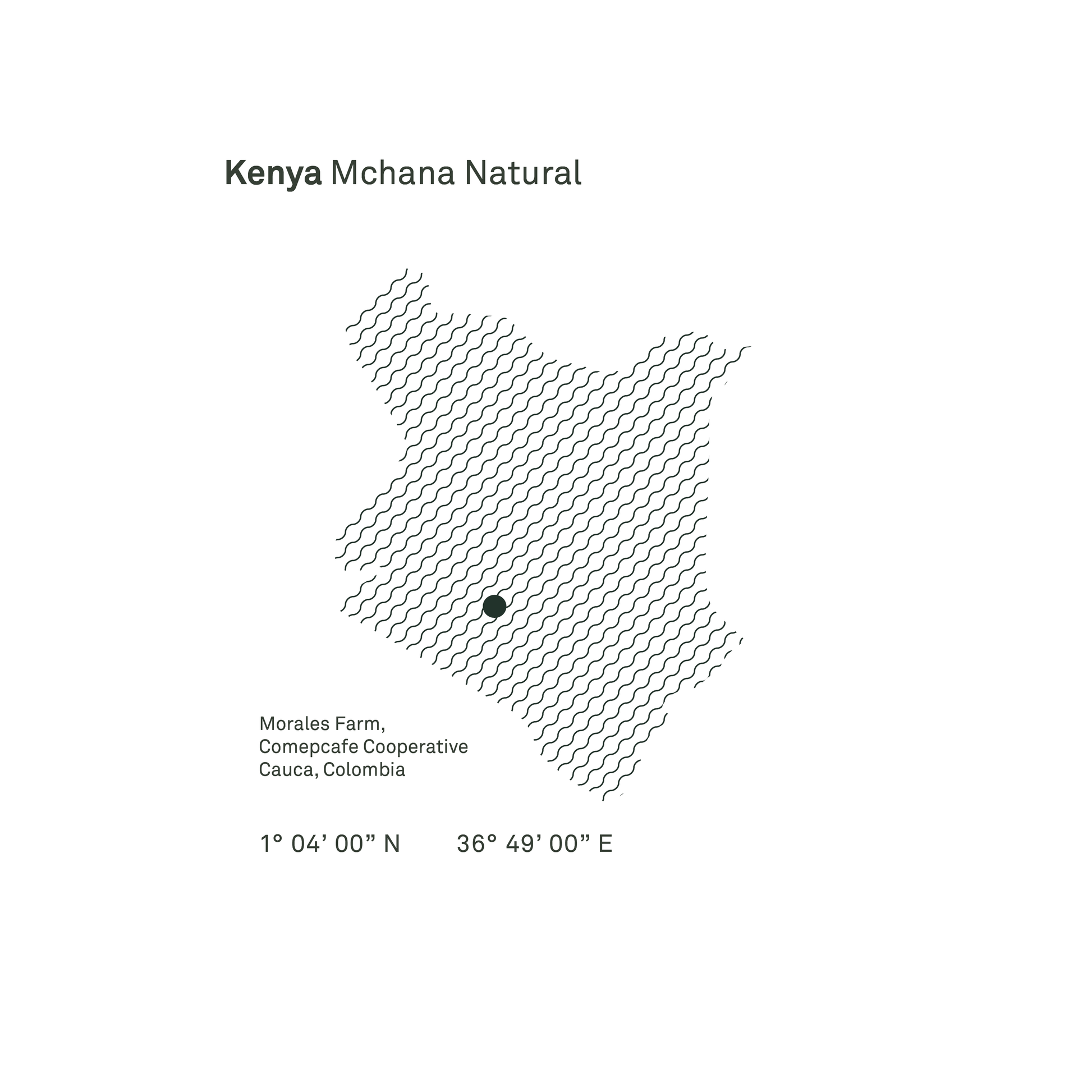 Kenya Mchana Natural Microlot - Bailies Coffee Roasters