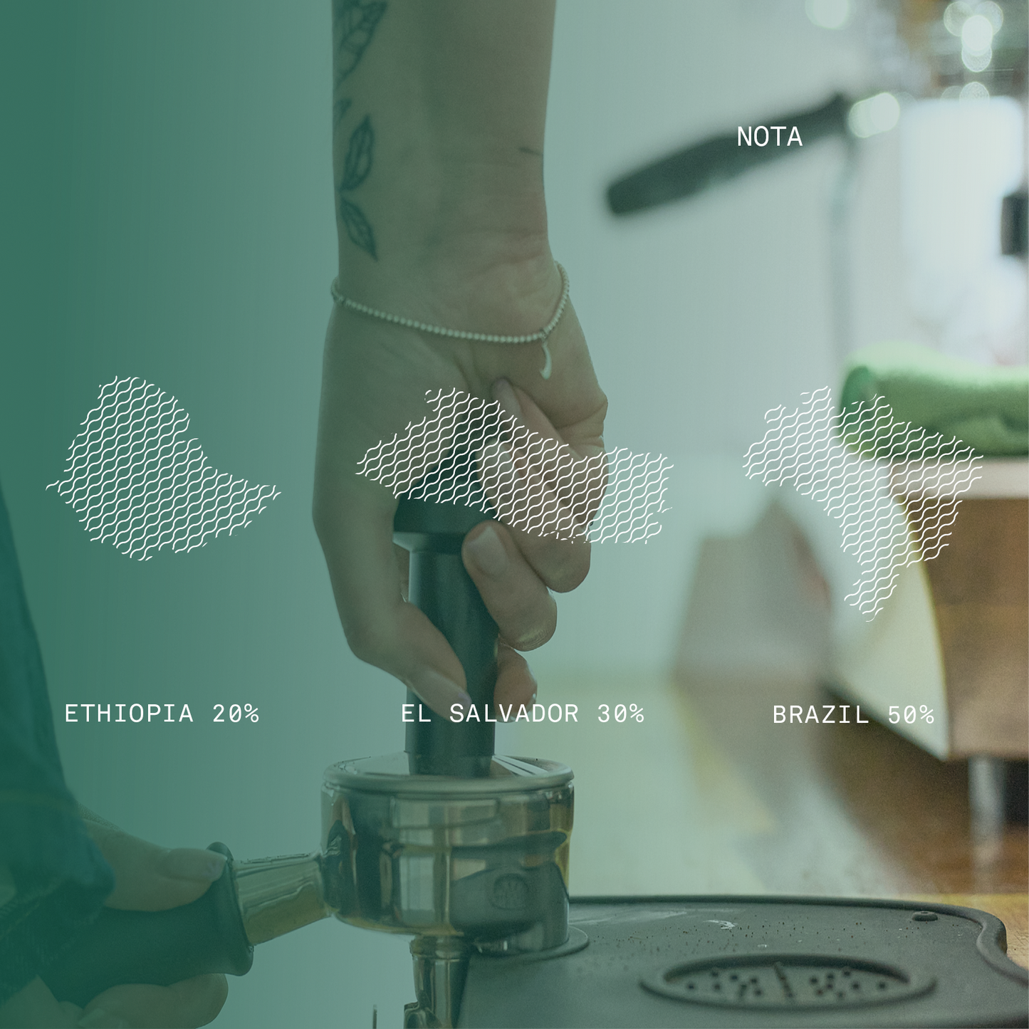 Nota Signature Blend - Bailies Coffee Roasters