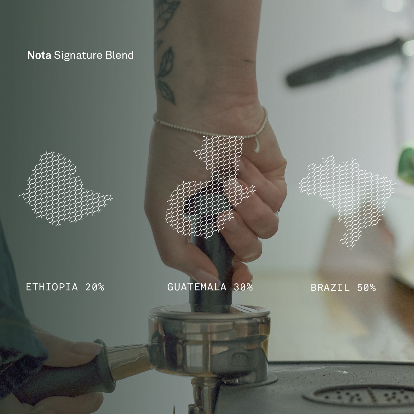 Nota Signature Blend