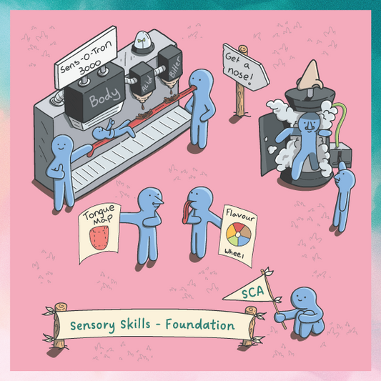 SCA Foundation Sensory Skills - Bailies Coffee Roasters