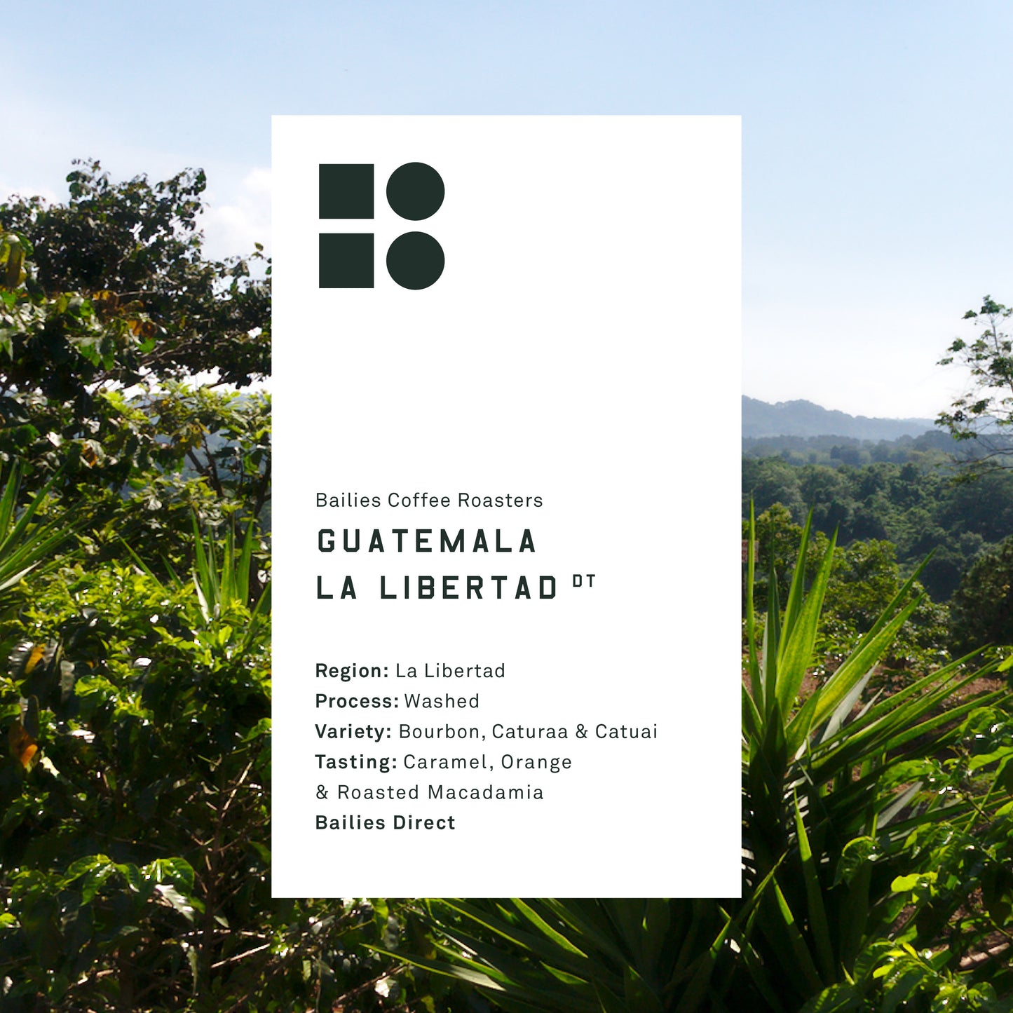Guatemala La Libertad Washed Single Origin