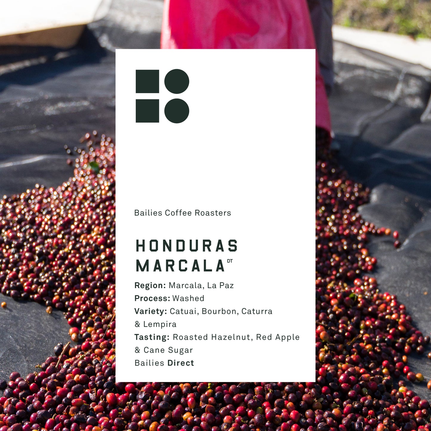 Honduras Marcala Washed Single Origin