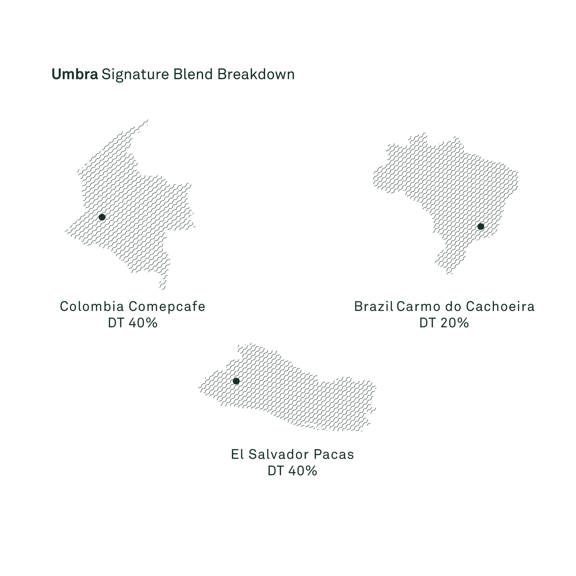 Umbra Signature Blend - Bailies Coffee Roasters