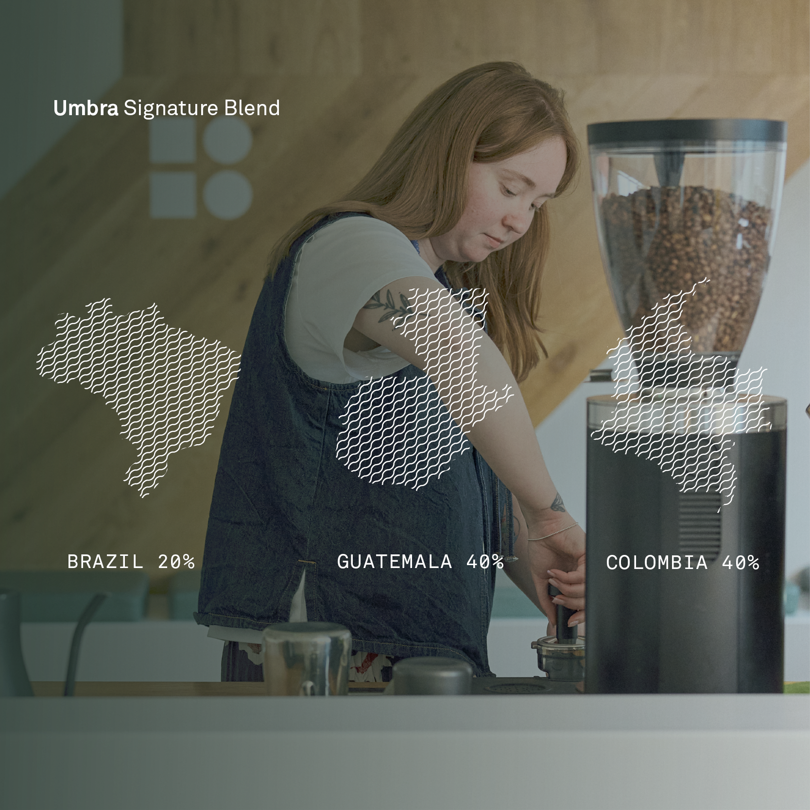 Umbra Signature Blend - Bailies Coffee Roasters