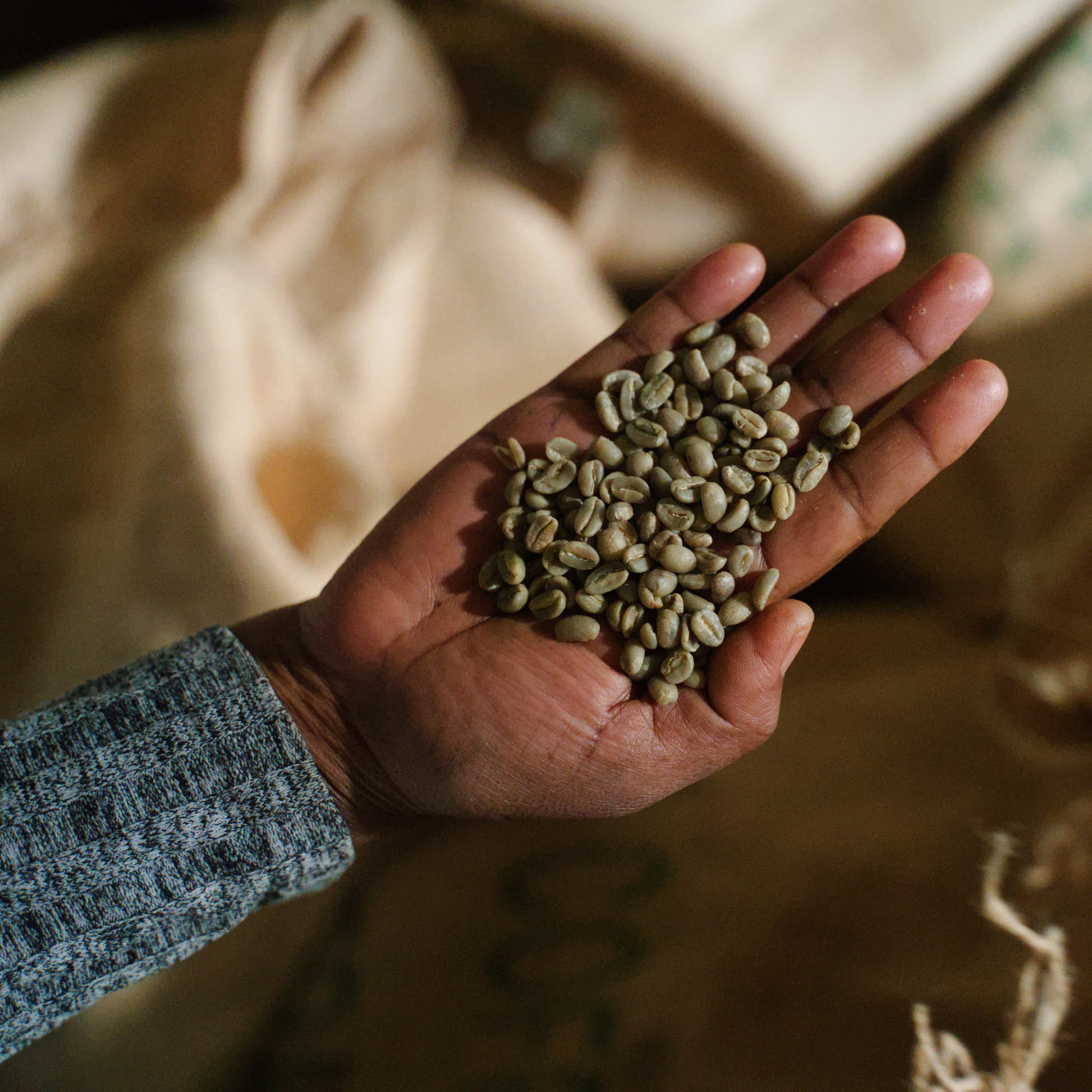 Ethiopia Hunkute Washed Single Origin - Bailies Coffee Roasters