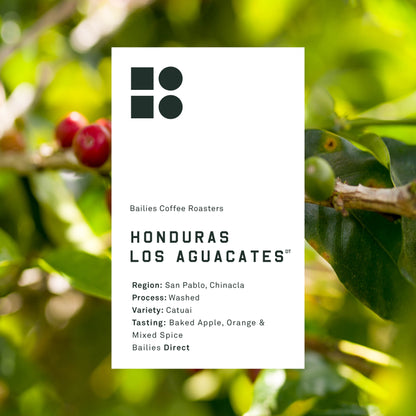 Honduras Los Aguacates Washed Microlot
