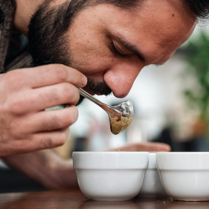coffee courses, sca training, coffee jobs, coffee skills, barista training, latte art workshop