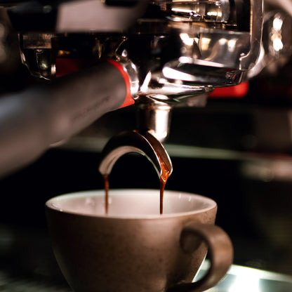 SCA Barista Skills Foundation Course