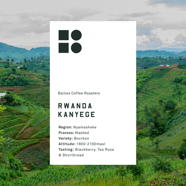 Rwanda Kanyege Washed Microlot