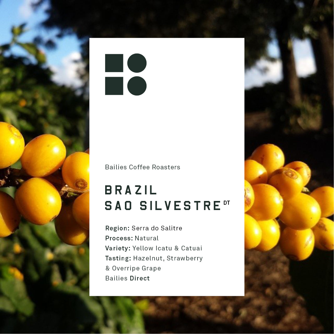 Brazil Sao Silvestre Natural - Bailies Coffee Roasters, Brazil Sao Silvestre Natural - Bailies Coffee Roasters, Coffee beans, roasted in Belfast, local roastery creating speciality coffee, Brazilian coffee