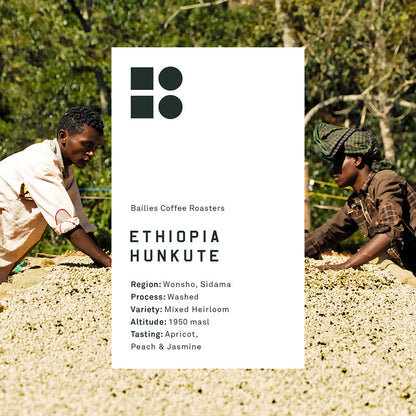 Ethiopia Hunkute Washed - Bailies Coffee Roasters, Coffee beans, roasted in Belfast, local roastery creating speciality coffee, Ethiopian coffee